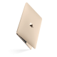 Macbook Gold 01.png